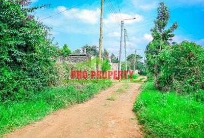 0.05 ha Commercial Land at Sigona - 3