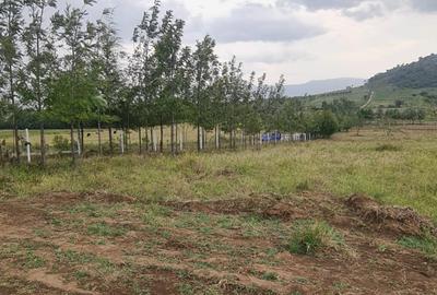 Residential Land at Moi South Lake Road - 4