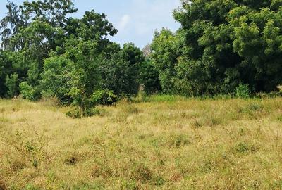 Land at Kilifi Town - 4