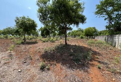 2 ac Land at Ls217 - 4