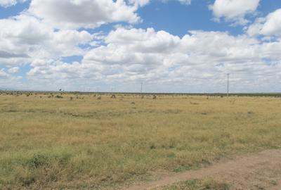 11.5 ac Land at Kariunga - 2