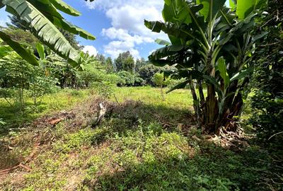 0.5 ac Land in Muthaiga - 2