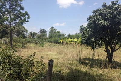 0.25 ac Land in Ruai