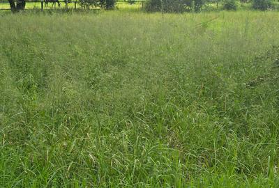 Land in Karen - 4