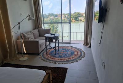 Serviced 8 Bed Apartment with En Suite at Tudor Creek - 4