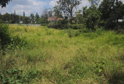 0.6 ac Land at Rundaevergreen - 2