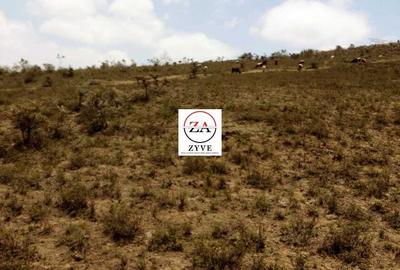 57 ac Land at Edana Road - 3