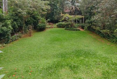 6 Bed House with En Suite in Nyari - 4