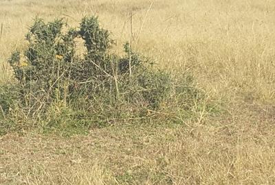 17 ac Land in Ongata Rongai - 2