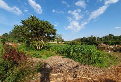 1.25 ac Commercial Property with Parking at Red Hill Link Rd - 2