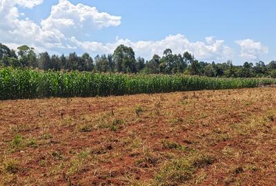 Land in Trans Nzoia