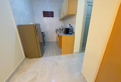 Serviced Studio Apartment with En Suite at Kangundo Rd - 3