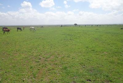 882,246 m² Commercial Land at Kitengela - 4