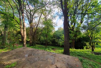 1.2 ac Land in Muthaiga - 2