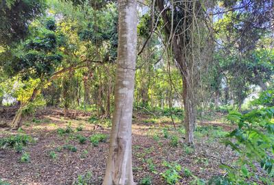 5,000 m² Land at Diani Beach Road