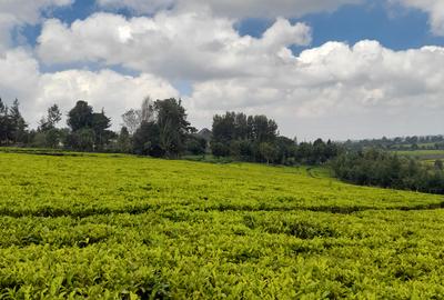 0.5 ac Land at Riara Ridge Tigoni - 3