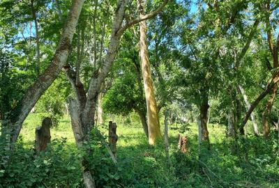 25 ac Land at Mtwapa - 2