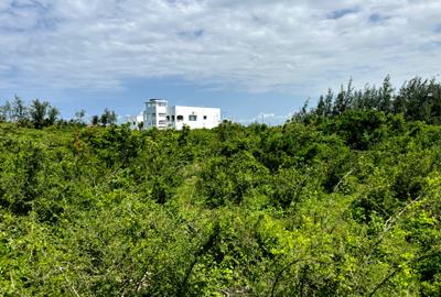 1,000 m² Land at Neighboring Paparemo - 3