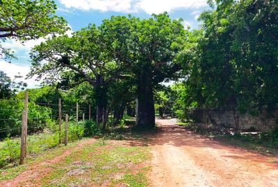 16,187.44 m² Land at Kilifi Bofa Beach Road - 2
