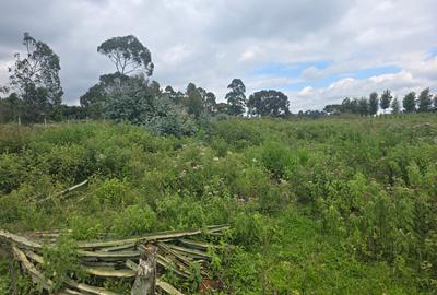 3 ac Land at Nderu Shopping Center - 3