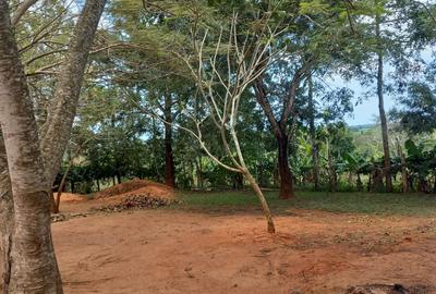 11 ac Residential Land at Ramisi - 2