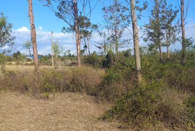 Land in Nyeri - 4