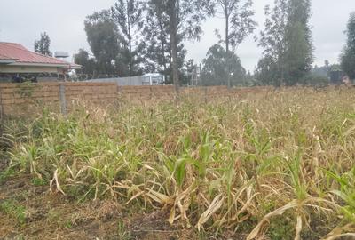 0.10 ha Land at Olkeri - 3