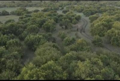 33 ac Land at Narok County - 3