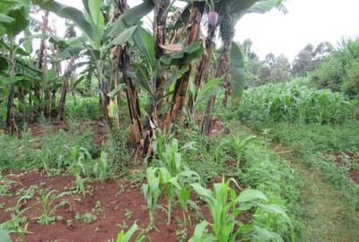 Residential Land at Gacharage Junction - 4