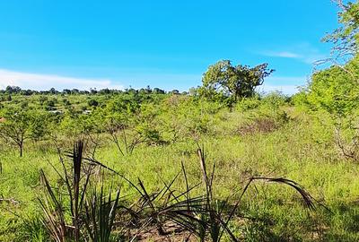 Land at Kwale - 2