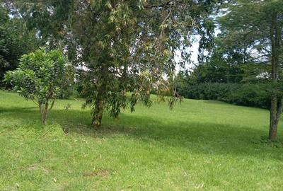 Land in Karen - 2