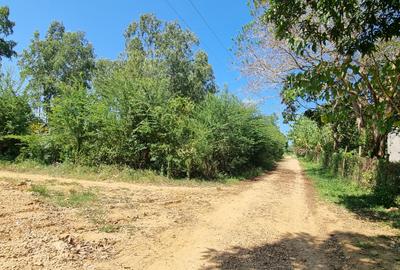 5 ac Land at Mtepeni - 4