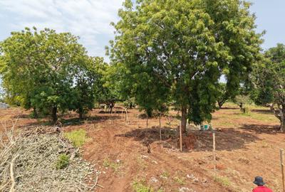 0.045 ha Land at Diani Airport - 2