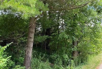 5 ac Land in Kitisuru