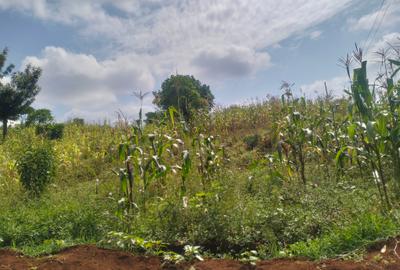 0.5 ac Land in Kitisuru - 3