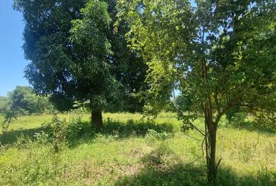 6 ac Land at Mtepeni