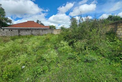 0.09 ha Land at Mashuria - 3