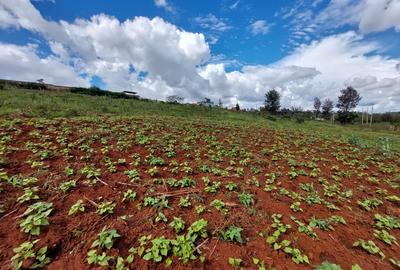 Land at Kibiko - 4