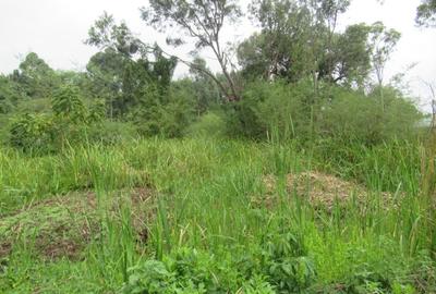 Residential Land at Ridgeways Ln - 4