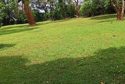 0.5 ac Residential Land at Kirawa Rd - 4