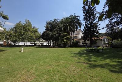 Commercial Property with Fibre Internet in Westlands Area - 2