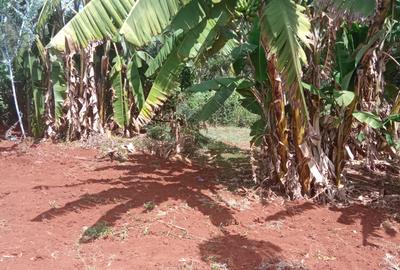 0.25 ac Land at Ruaka - 3