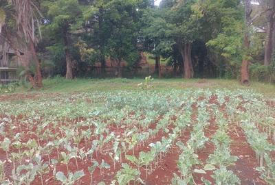 Residential Land in Kyuna - 4