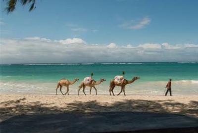 Furnished Commercial Property with Service Charge Included at Diani - 2