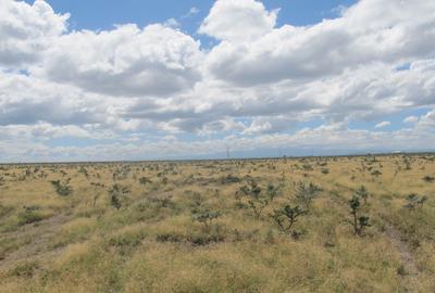 11.5 ac Land at Kariunga - 3