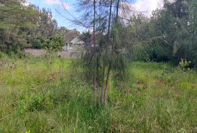 Land in Karen - 3