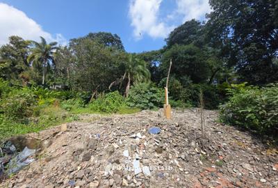 0.5 ac Land in Thigiri - 3