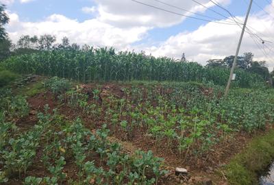 Land in Ridgeways