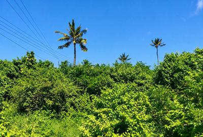 Commercial Land in Malindi - 3