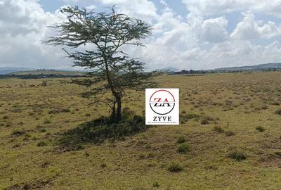 3 ac Land at Mirera - 4